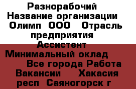 Разнорабочий › Название организации ­ Олимп, ООО › Отрасль предприятия ­ Ассистент › Минимальный оклад ­ 25 000 - Все города Работа » Вакансии   . Хакасия респ.,Саяногорск г.